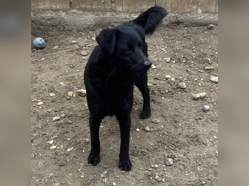 BECCA - SCHWARZE SCHÖNHEIT