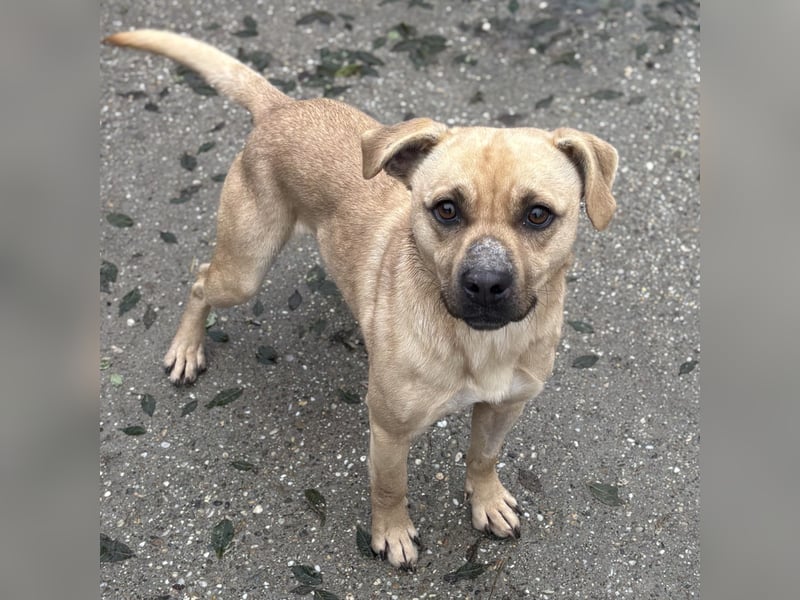 SAMU SUCHT SEIN GLÜCK