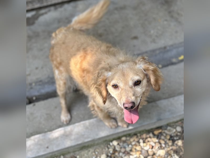 DERIA - ALLEIN ZURÜCK GELASSEN