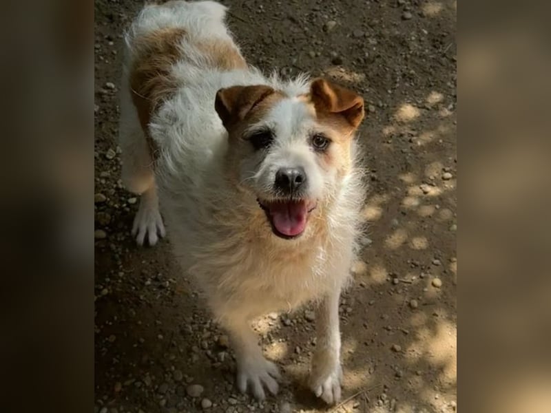 Zsani - Heimathafen gesucht!