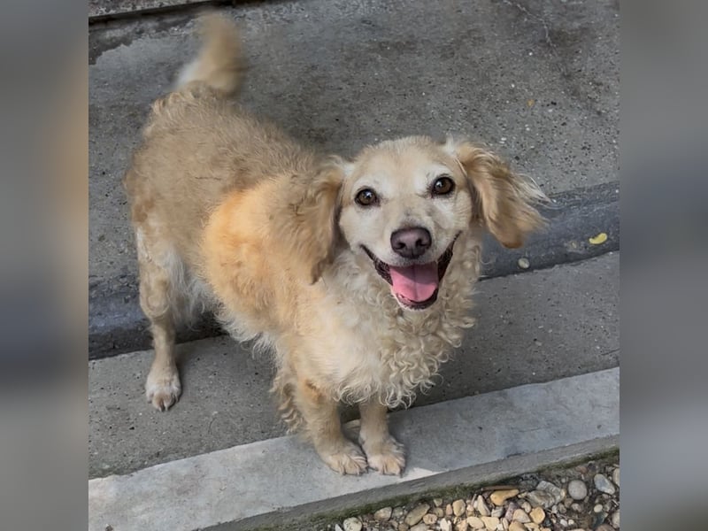 DERIA - ALLEIN ZURÜCK GELASSEN