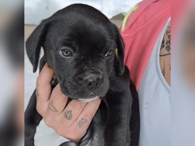 Yanni ist bereit für die Welt