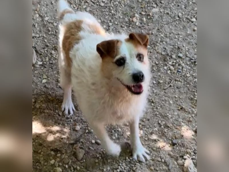 Zsani - Heimathafen gesucht!