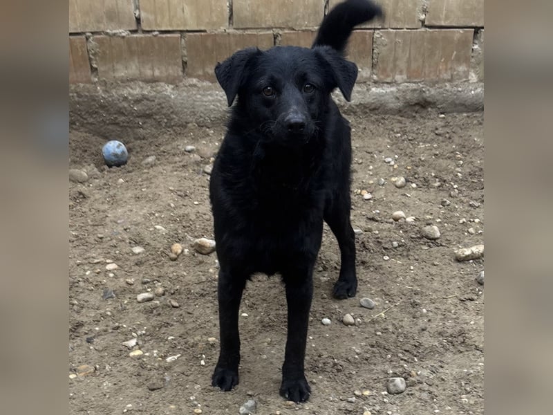 BECCA - SCHWARZE SCHÖNHEIT