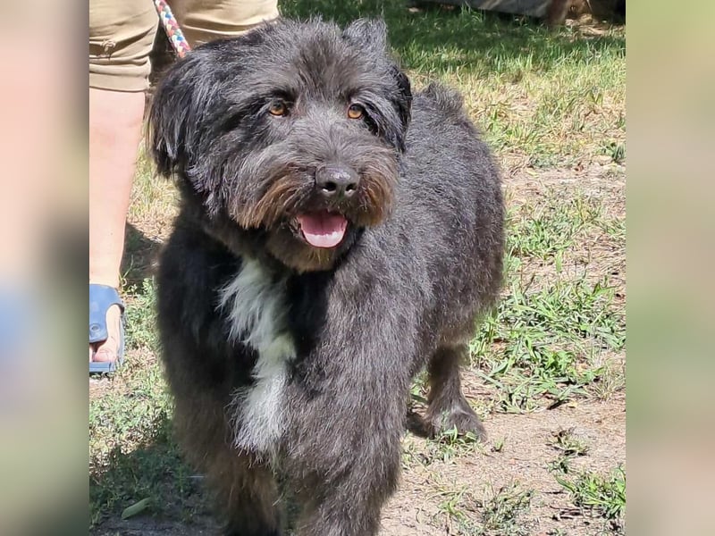 MORGO - BESITZER VERSTORBEN