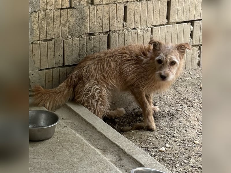 TEO-SUCHT EIN RUHIGES ZUHAUSE