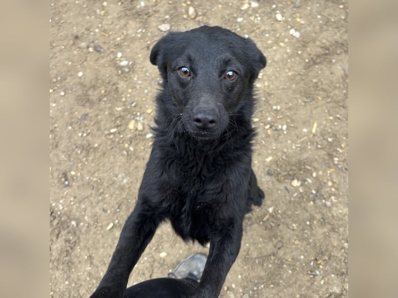 BECCA - SCHWARZE SCHÖNHEIT