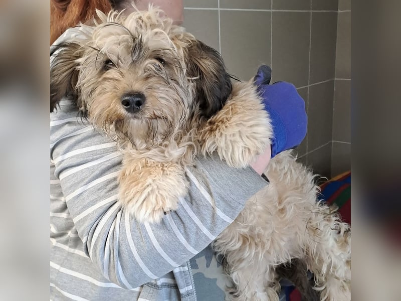 Bolyhika - vom Straßenleben ins Herz