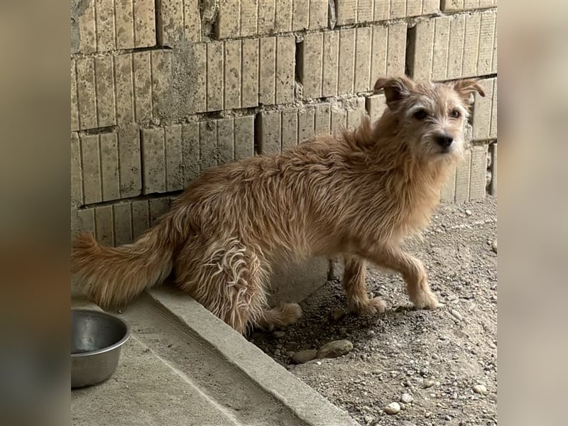 TEO-SUCHT EIN RUHIGES ZUHAUSE