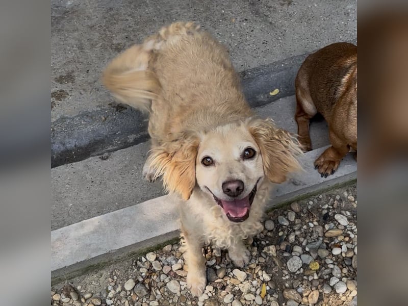 DERIA - ALLEIN ZURÜCK GELASSEN