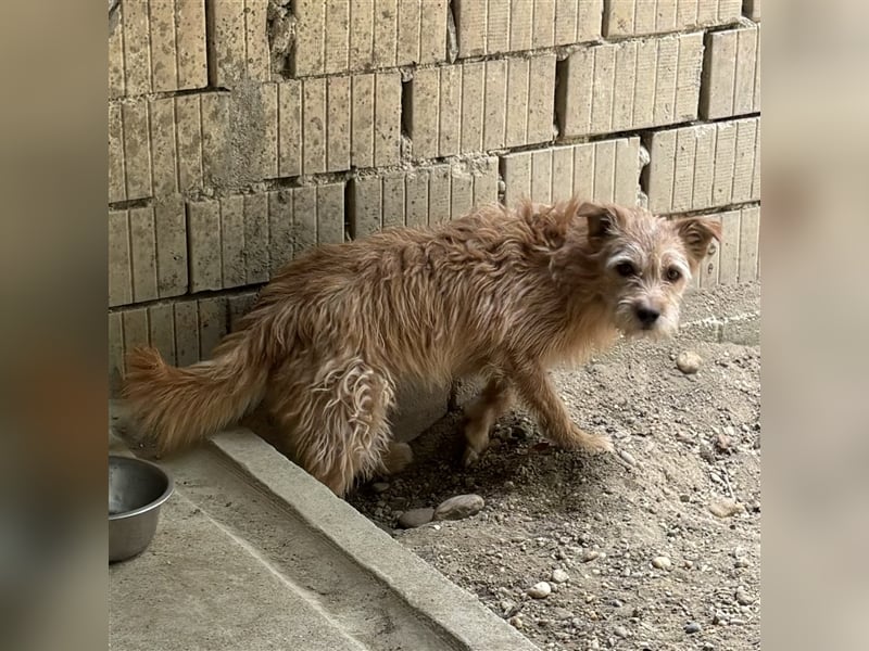 TEO-SUCHT EIN RUHIGES ZUHAUSE