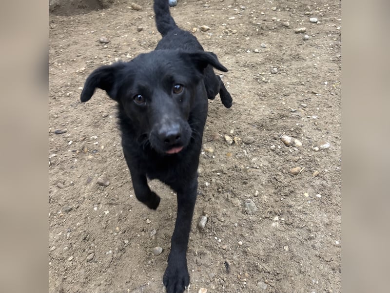 BECCA - SCHWARZE SCHÖNHEIT