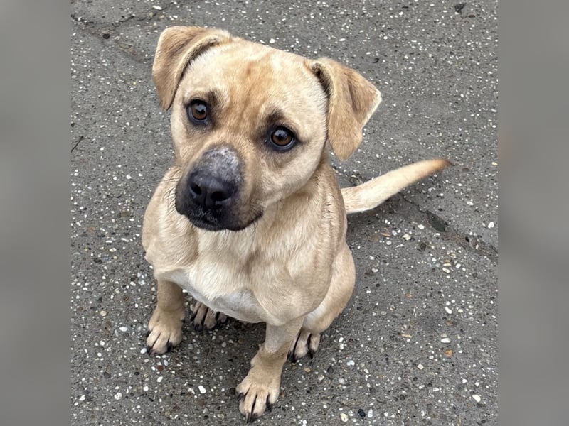 SAMU SUCHT SEIN GLÜCK