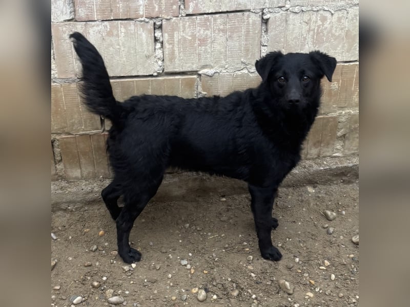 BECCA - SCHWARZE SCHÖNHEIT