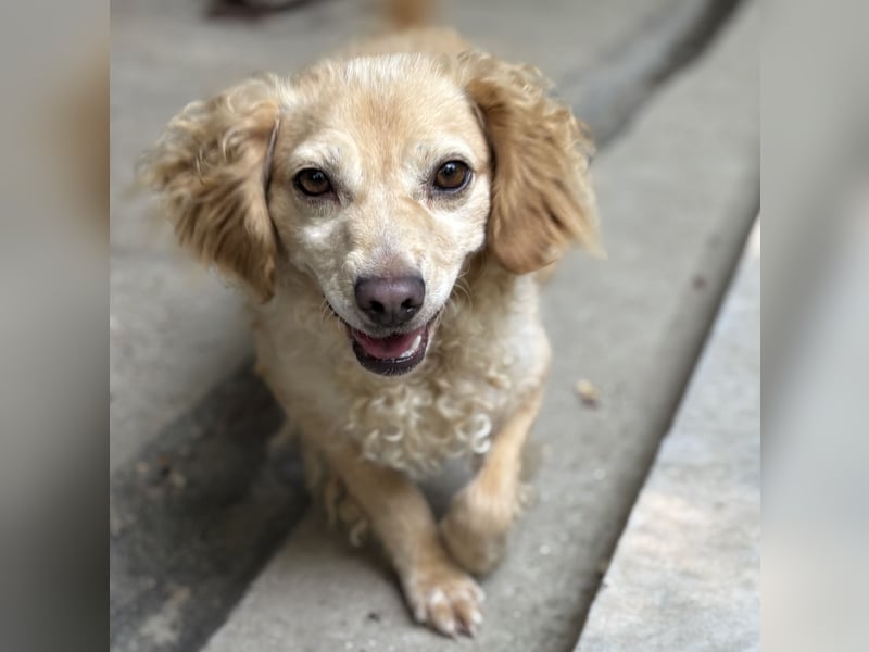 DERIA - ALLEIN ZURÜCK GELASSEN