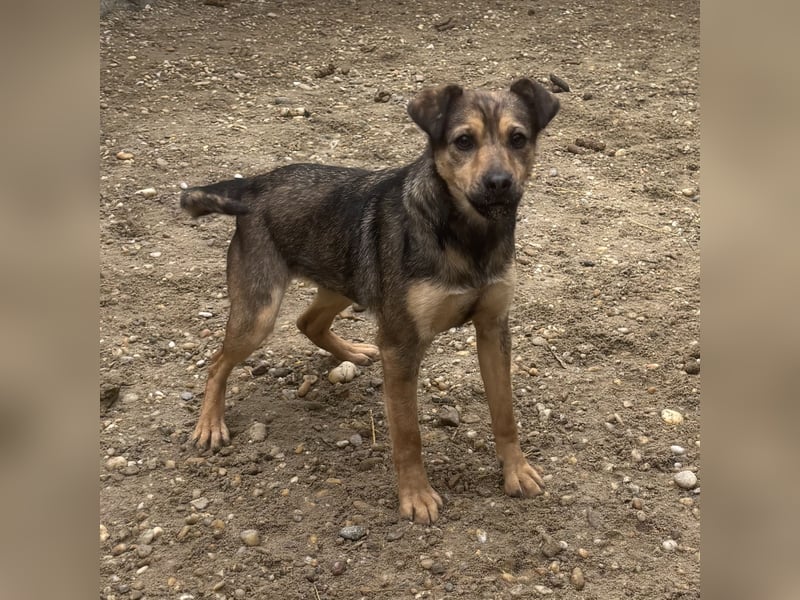 BORIKA IST NOCH SCHÜCHTERN