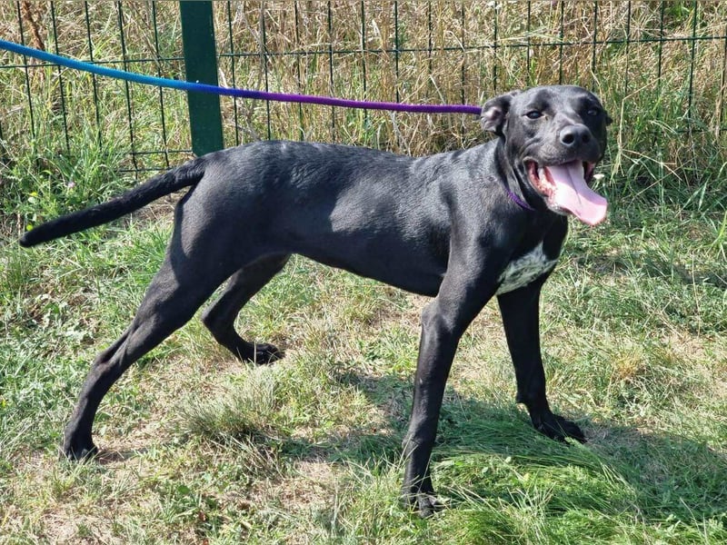 Hetty, geboren 25.01.2025, 42cm sucht ihre Familie