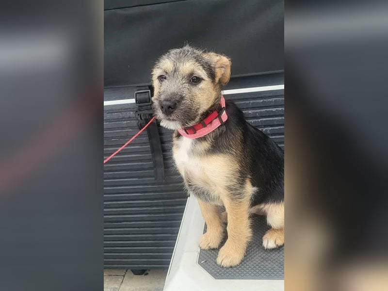 Evita, geboren 19.10.2025, 32cm sucht ihr Glück