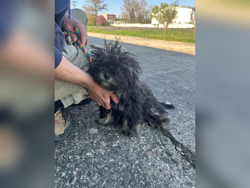 Polly, geboren 26.03.2025, 28cm sucht sein Plätzchen