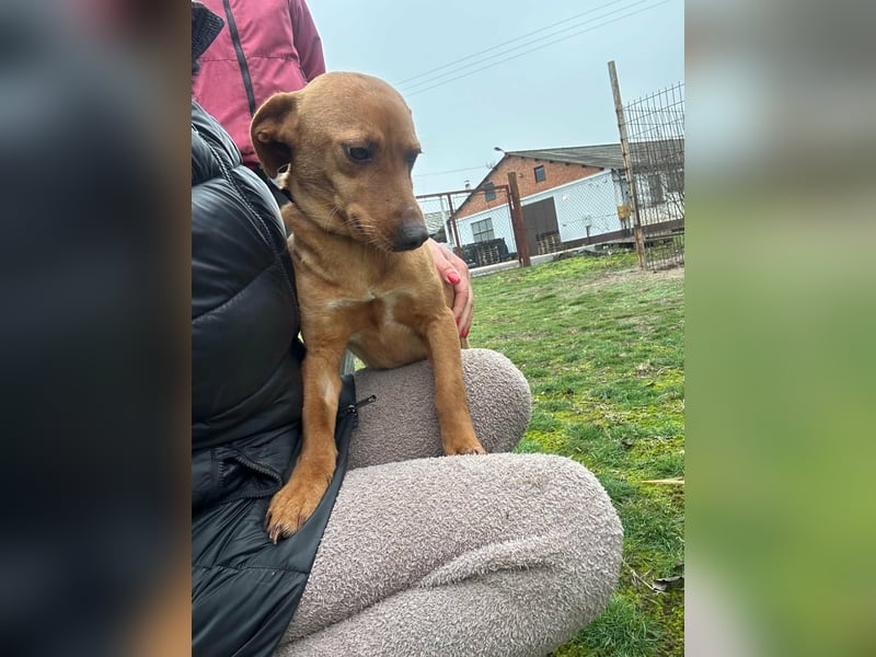 Bubu, geboren 10.05.2025, 35cm sucht Familienanschluss