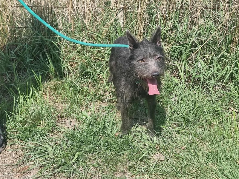 Amira, geboren 2022, 39cm sucht ihre Chance