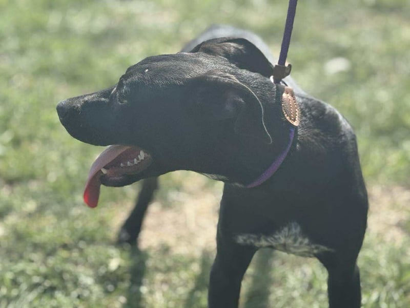 Hetty, geboren 25.01.2025, 42cm sucht ihre Familie