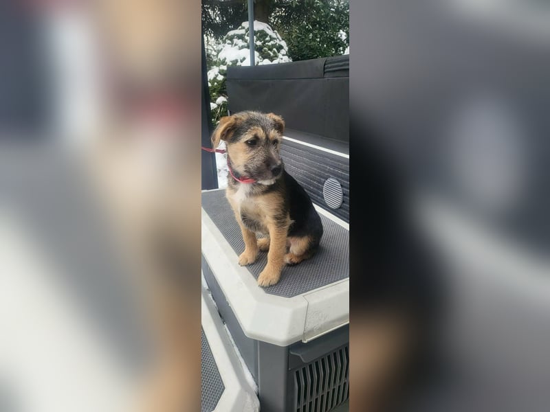 Evita, geboren 19.10.2025, 32cm sucht ihr Glück