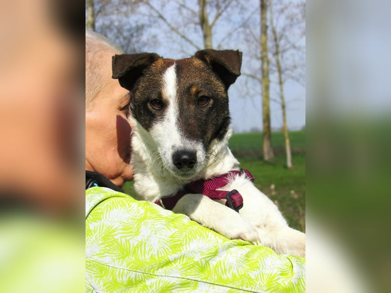 Szamoca, geboren 06.2025, 35cm sucht ihre Familie