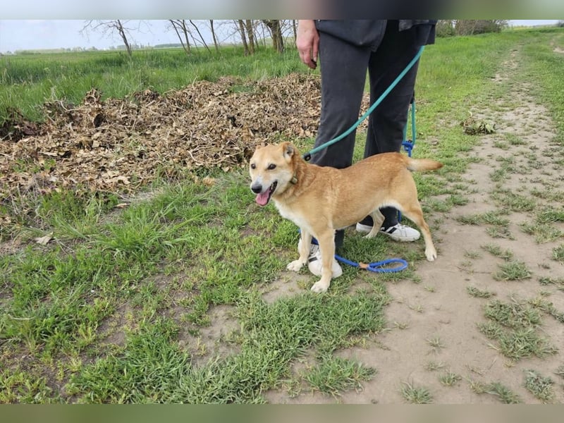 Wendy, geb. 07.2018, 42cm sucht ihr Für-Immer-Zuhause