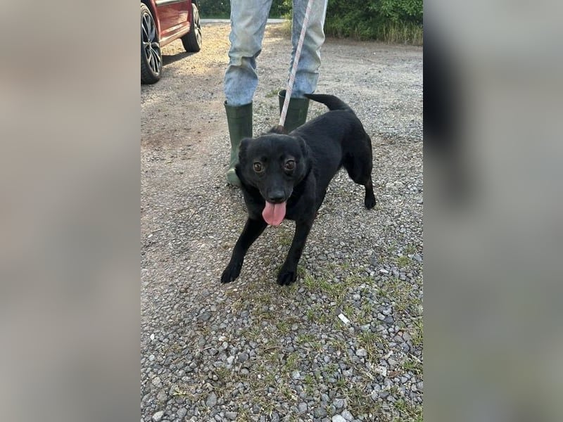 Ajna, geb. 06/2024, 39 cm, sucht ihre Herzensmenschen