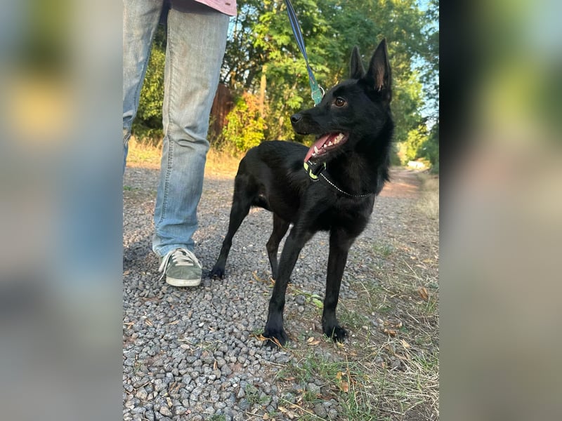 Frutti, geboren 10.12.2024, 41cm sucht ihr Zuhause