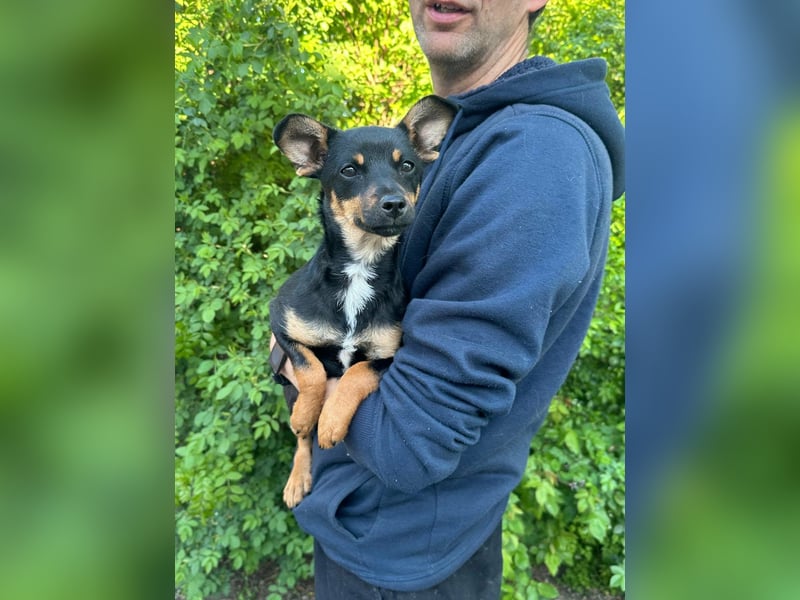 Tina, geboren 20.01.2026, 32cm sucht ihr Glück