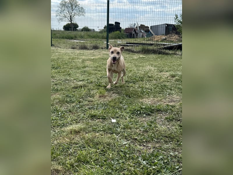 Bori, geboren 20.09.2025, 37cm sucht ihr Traumzuhause