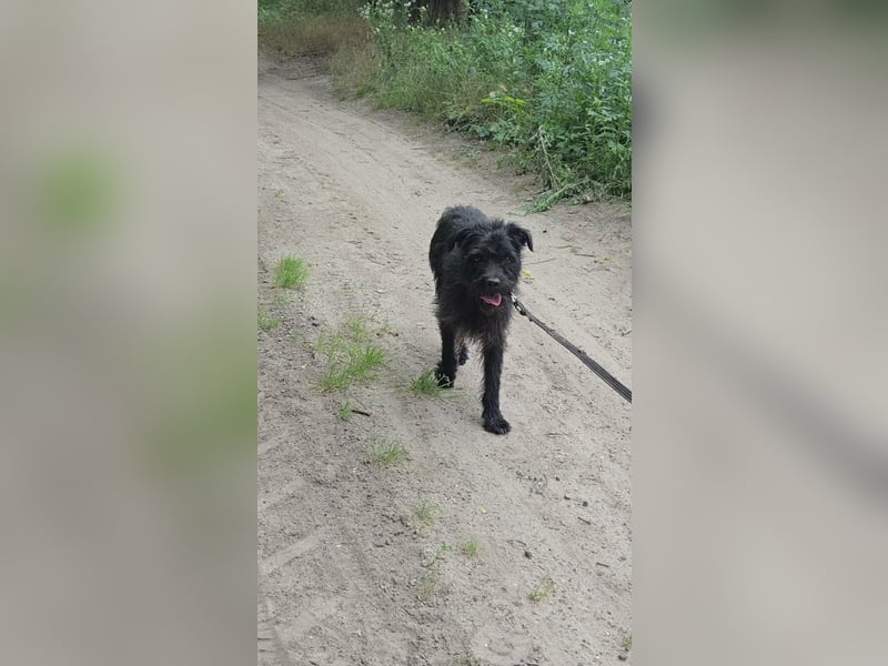 Kuksi, geboren 24.10.2022, 42cm sucht liebevolles Zuhause