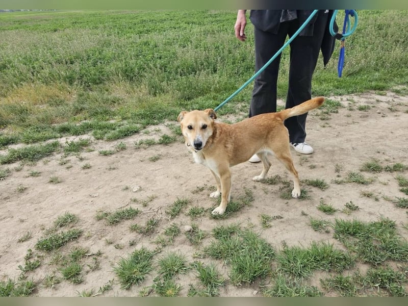 Wendy, geb. 07.2018, 42cm sucht ihr Für-Immer-Zuhause