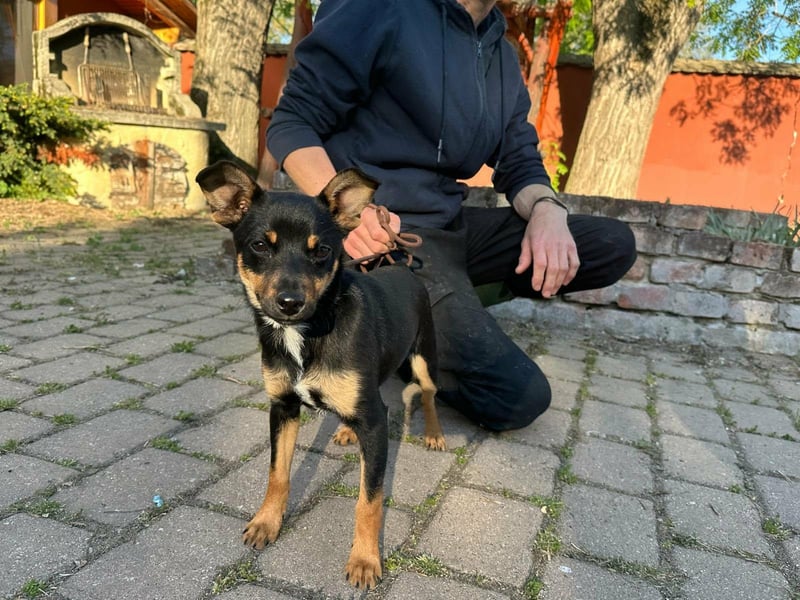 Tina, geboren 20.01.2026, 32cm sucht ihr Glück