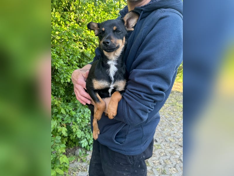 Tina, geboren 20.01.2026, 32cm sucht ihr Glück