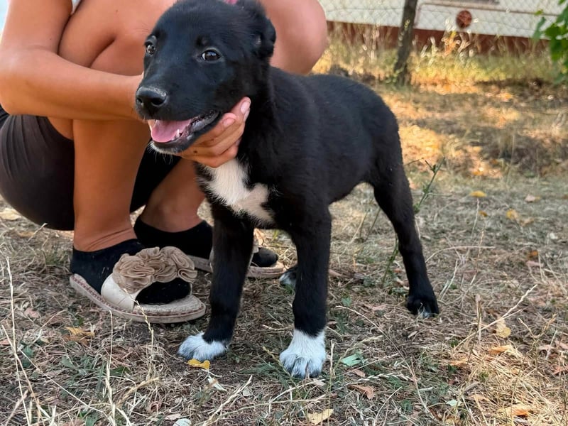 Dorisz, geboren 25.05.2026, 32cm sucht ihre Menschen