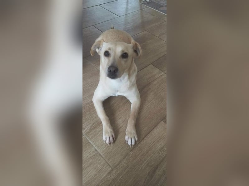 Baba, geboren 05.2023, 38cm sucht Menschen mit Herz