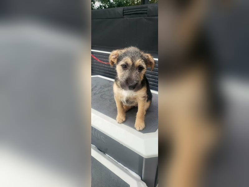 Evita, geboren 19.10.2025, 32cm sucht ihr Glück