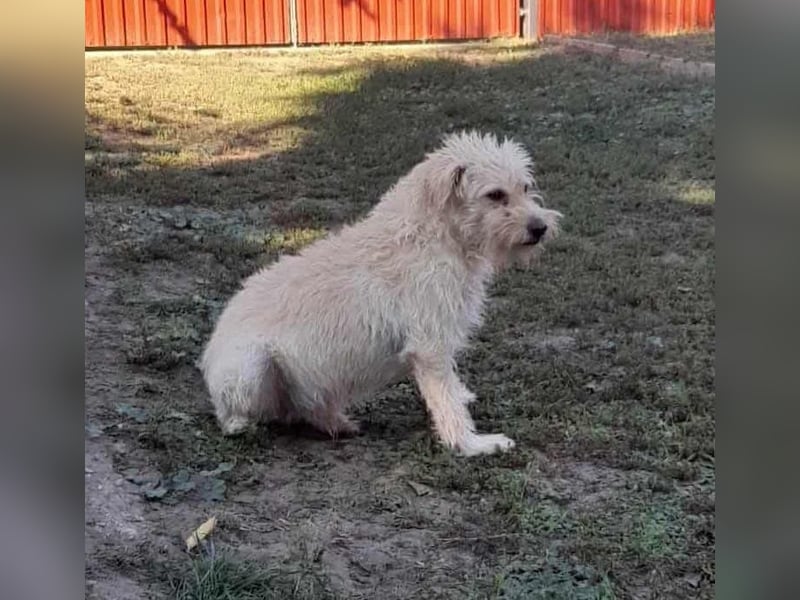 Fredi, 1,5 Jahre, 35cm sucht sein Körbchen