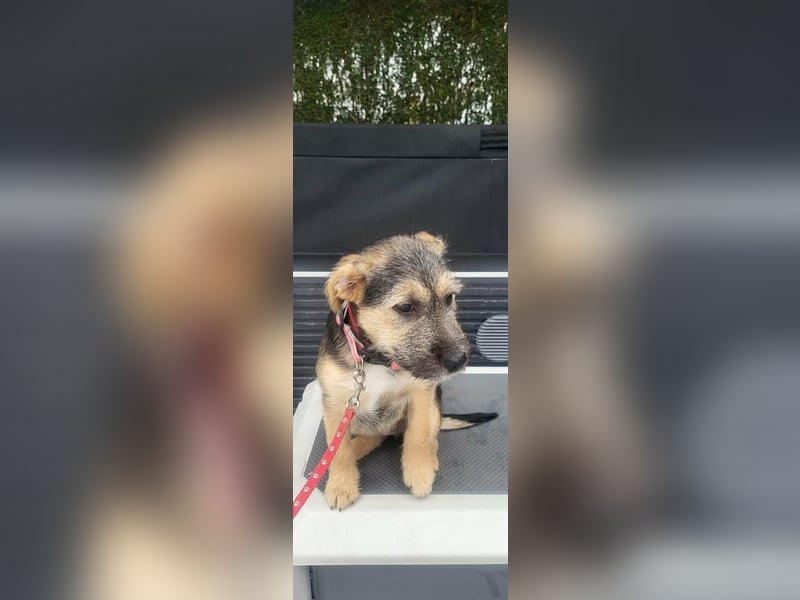 Evita, geboren 19.10.2025, 32cm sucht ihr Glück