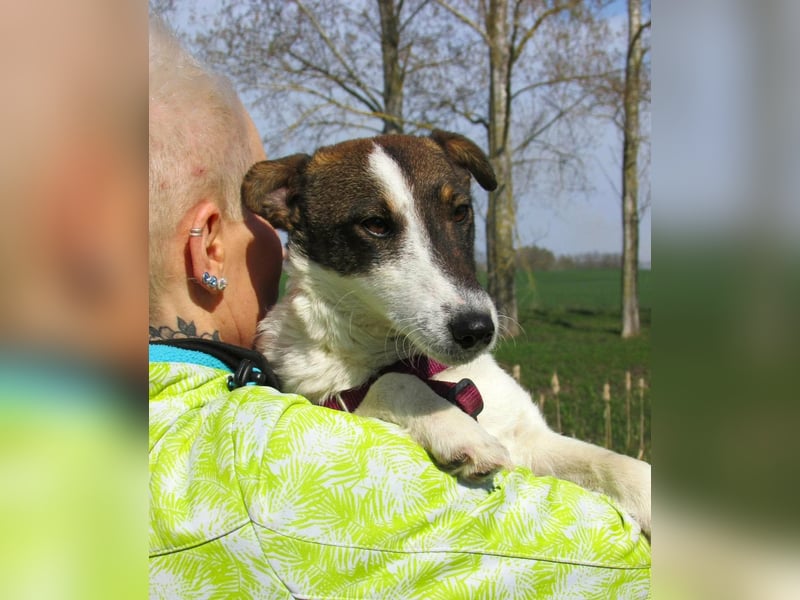 Szamoca, geboren 06.2025, 35cm sucht ihre Familie