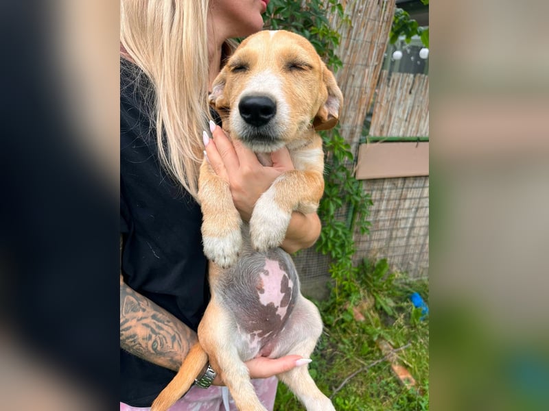 Tammy, geboren 08.02.2026, 27cm sucht ihre Menschen