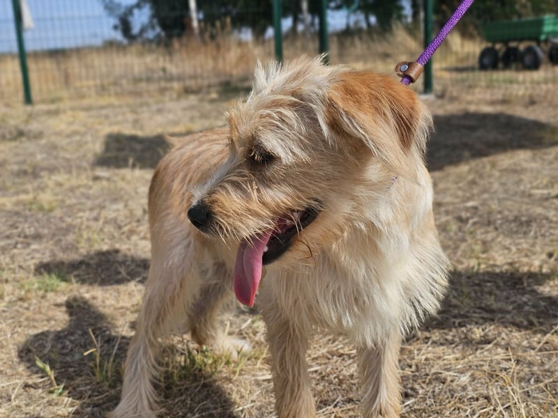 Libby, geboren 01.04.2026, 40cm sucht ihr Glück
