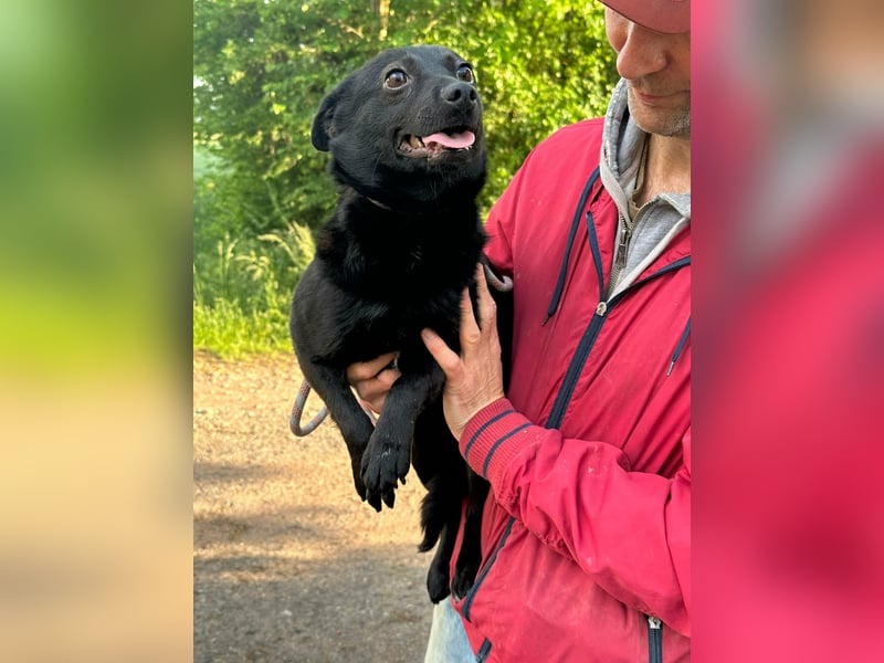 Ajna, geb. 06/2024, 39 cm, sucht ihre Herzensmenschen