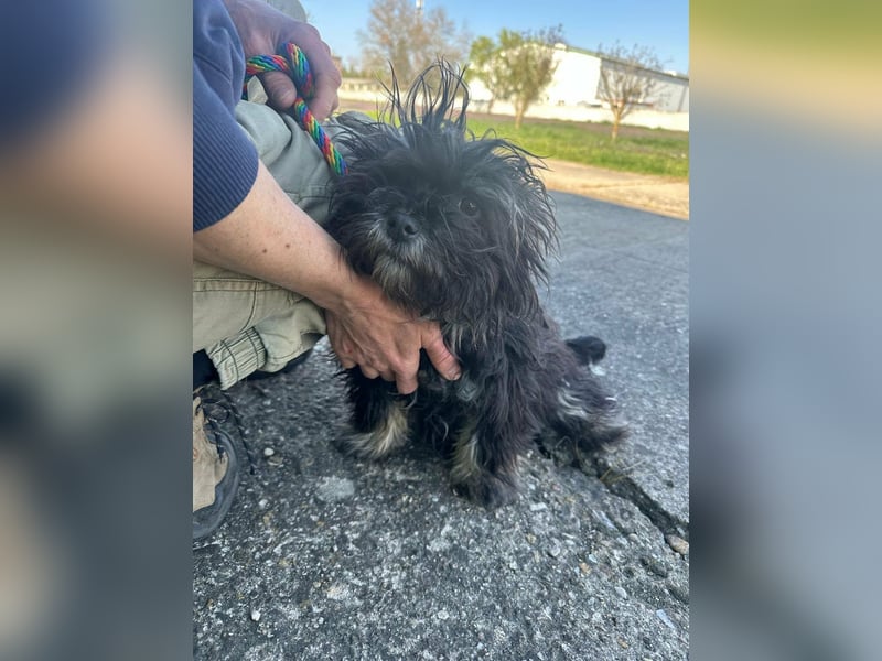 Polly, geboren 26.03.2025, 28cm sucht sein Plätzchen