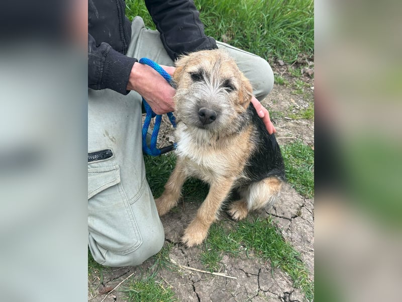 Evita, geboren 19.10.2025, 41cm sucht ihr Glück