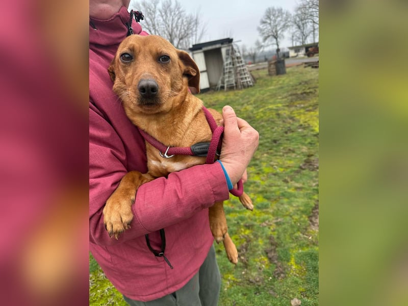 Bubu, geboren 10.05.2025, 35cm sucht Familienanschluss