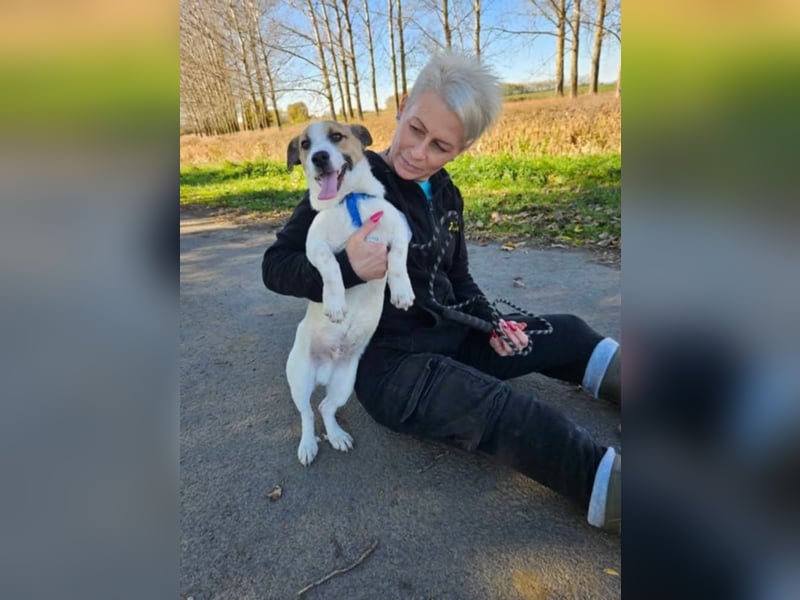 Wyatt, geboren 06.2025, 35cm sucht sein Zuhause